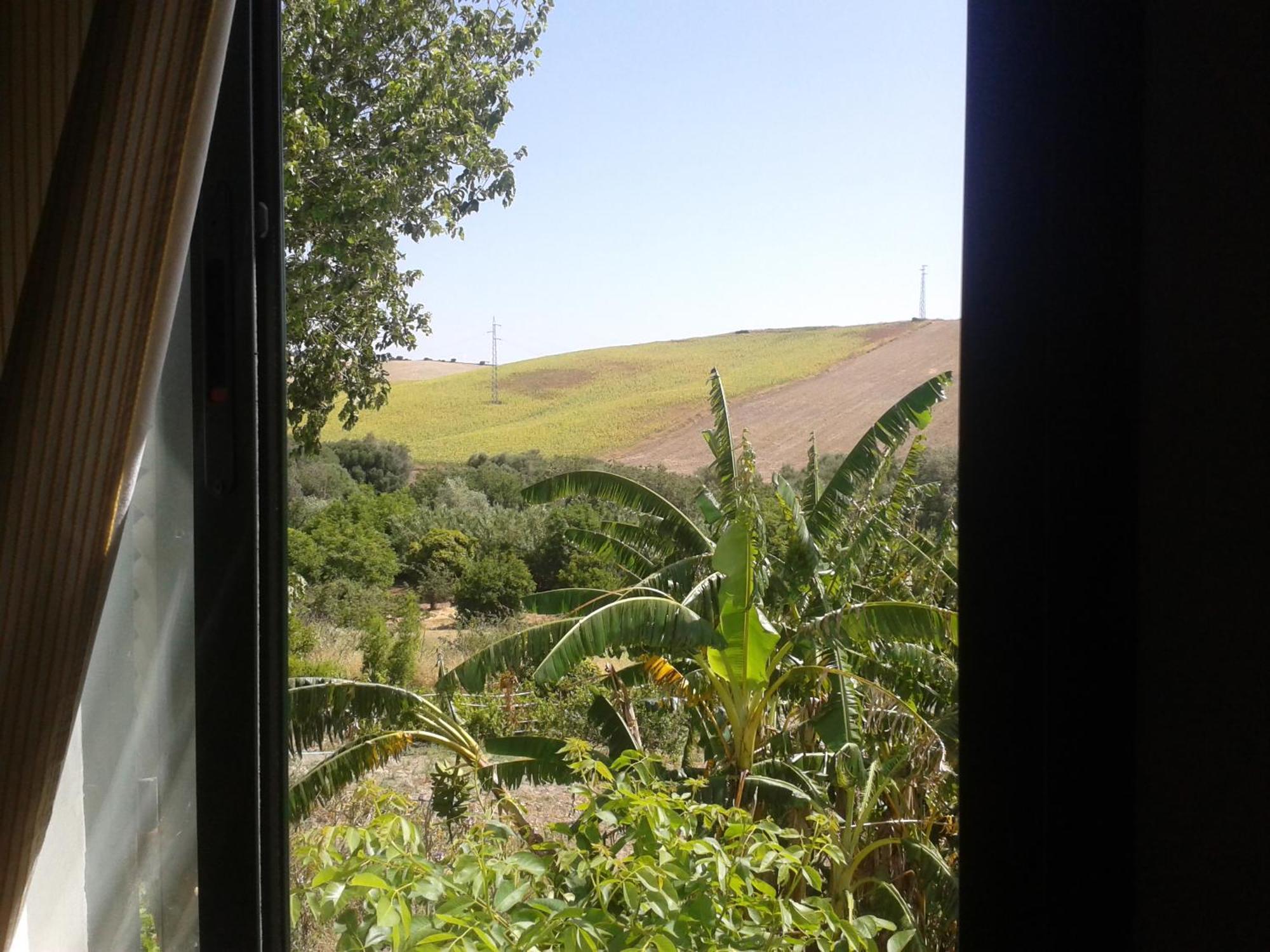 Casa Rural El Cubillo ベヘール・デ・ラ・フロンテーラ エクステリア 写真