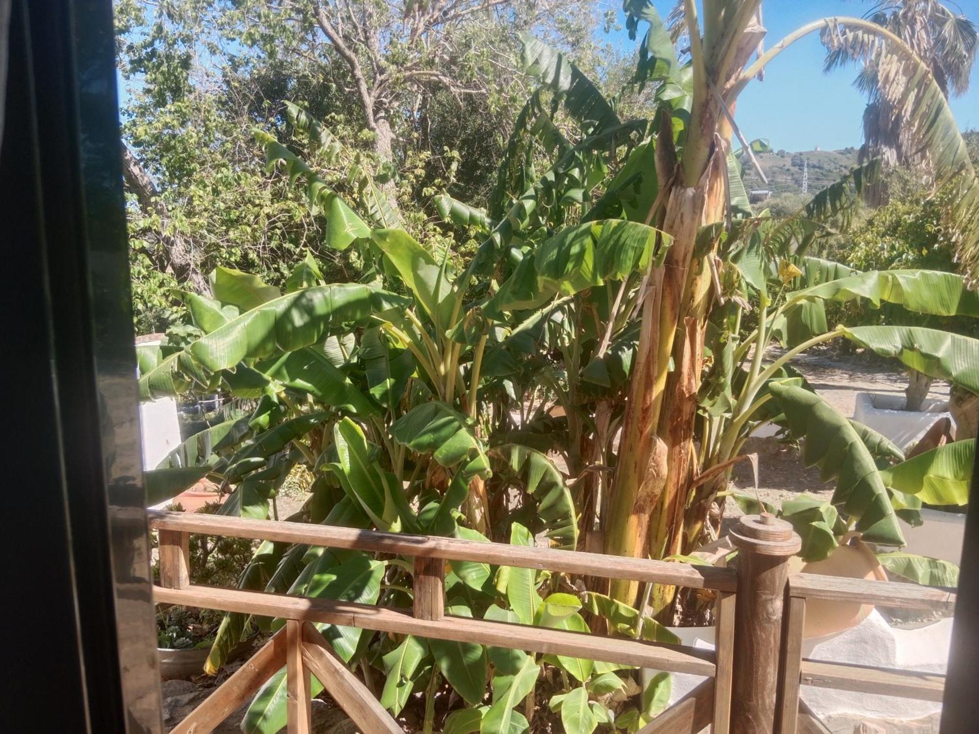 Casa Rural El Cubillo ベヘール・デ・ラ・フロンテーラ エクステリア 写真