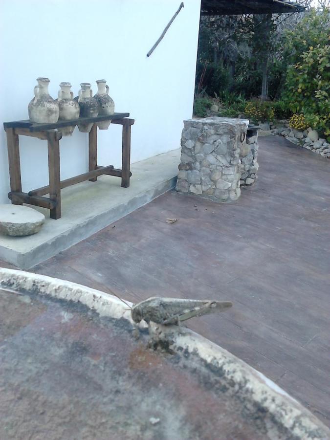 Casa Rural El Cubillo ベヘール・デ・ラ・フロンテーラ エクステリア 写真